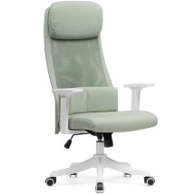 Компьютерное кресло Salta light green / white
